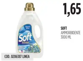 Carico Cash & Carry SOFT AMMORBIDENTE 3000 ML offerta