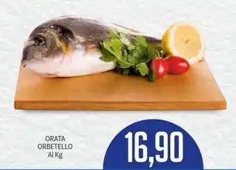 Supermercati Piccolo ORATA ORBETELLO offerta