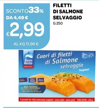 Ekom FILETTI DI SALMONE SELVAGGIO G 250 offerta