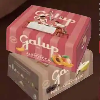 Colombe GALUP Pere e Cioccolato, Amarene e Cioccolato g 750