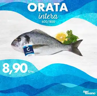 Iper Tosano ORATA intera 600/800 offerta