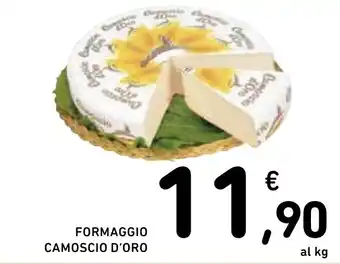 Spazio Conad FORMAGGIO CAMOSCIO D'ORO offerta