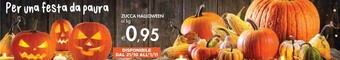 Bennet Zucca halloween offerta