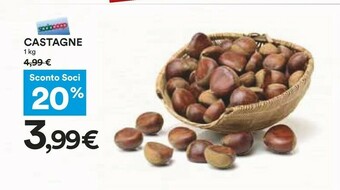 Castagne