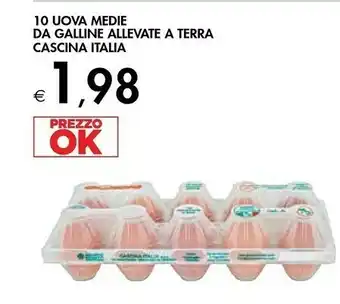 Bennet 10 uova medie da galline allevate a terra offerta