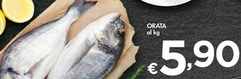 Bennet Orata offerta