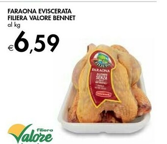 Bennet faraona eviscerata filiera valore