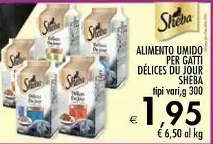 Bennet Alimento umido per gatti délices du jour offerta