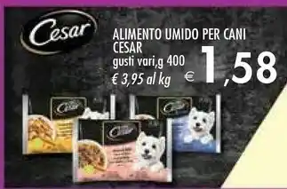 Bennet Alimento umido per cani offerta