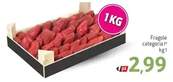 Maxi Family Fragole kg 1 offerta
