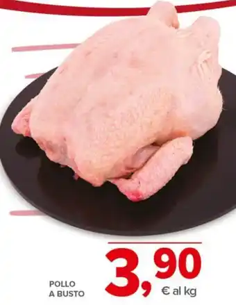 Todis POLLO A BUSTO offerta