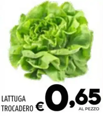 Il Centesimo LATTUGA TROCADERO offerta