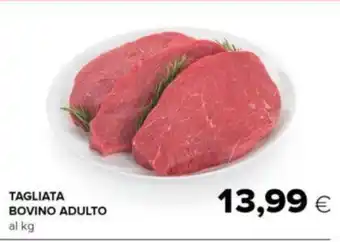 Oasi TAGLIATA BOVINO ADULTO offerta