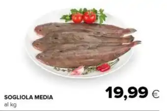 Oasi SOGLIOLA MEDIA offerta