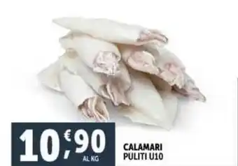 Deco Superfreddo CALAMARI PULITI U10 offerta