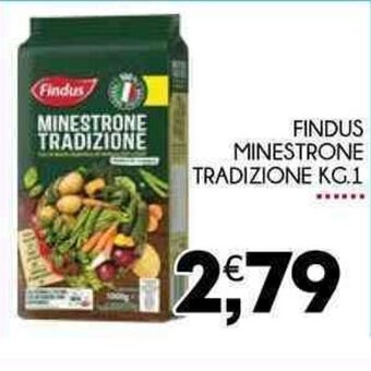 Enne Market Findus Minestrone Tradizione 1 kg offerta