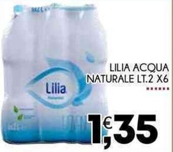 Enne Market Lilia Acqua Naturale 2 x6 lt. offerta