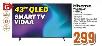 Expert Hisense TV QLED 43" 43E79KQ offerta