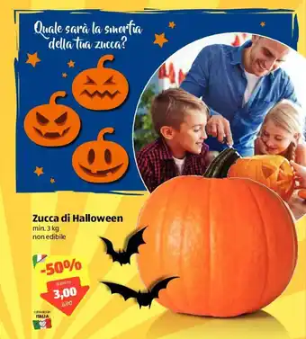 ALDI Zucca di Halloween 3kg offerta