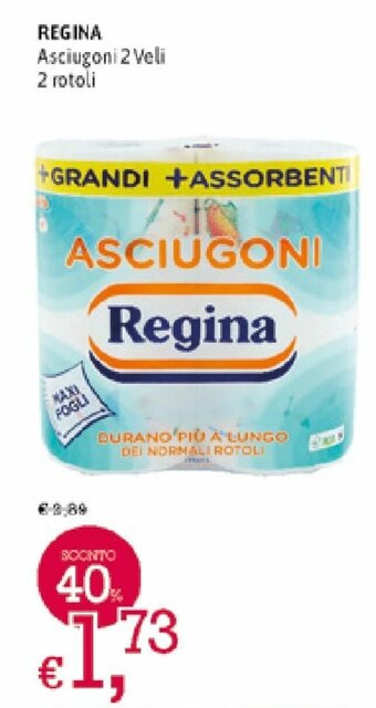 A&O Regina Asciugoni 2 Veli 2 rotoli offerta