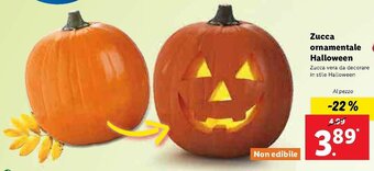 Lidl Zucca ornamentale Halloween offerta