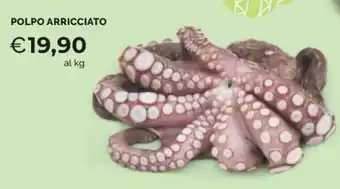 Mercatò POLPO ARRICCIATO offerta