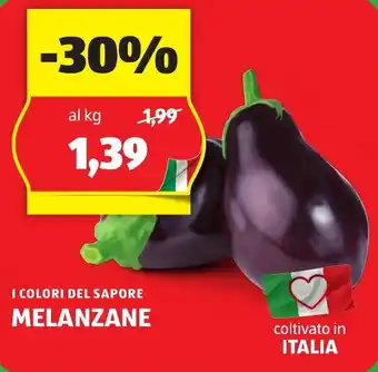 ALDI I COLORI DEL SAPORE MELANZANE offerta