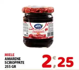 Mio Market MIELE AMARENE SCIROPPATE 255 GR offerta