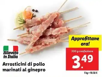 Lidl Arrosticini di pollo marinati al ginepro 330 g confezione offerta