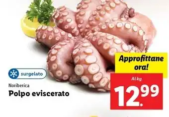 Lidl Noriberica Polpo eviscerato offerta