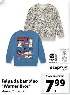 Lidl Felpa da bambino "Warner Bros" offerta