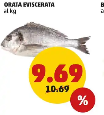 PENNY ORATA EVISCERATA offerta