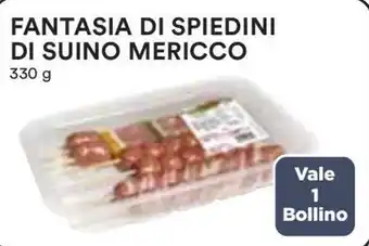 Coop FANTASIA DI SPIEDINI DI SUINO MERICCO 330 g offerta