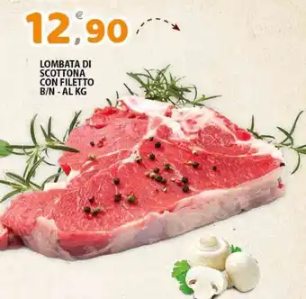Premium Supermercati Lombata di Scottona con Filetto B/N al kg offerta