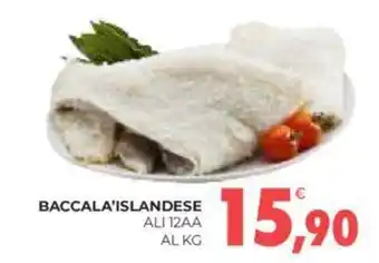 Eté BACCALA'ISLANDESE ALI 12AA offerta