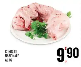CONIGLIO NAZIONALE