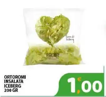 Ortoromi Insalata Iceberg 200gr