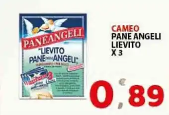 Premium Supermercati Cameo Pane Angeli Lievito x 3 offerta