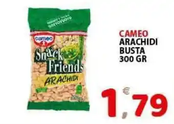 Premium Supermercati Cameo Arachidi Busta 300gr offerta