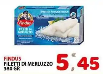 Premium Supermercati Findus Filetti di Merluzzo 360gr offerta