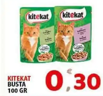 Premium Supermercati Kitekat Busta 100gr offerta