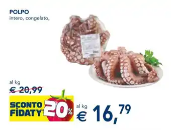 POLPO intero, congelato