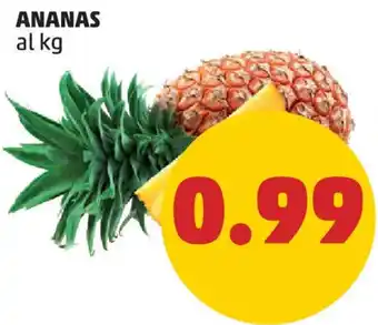 PENNY ANANAS al kg offerta