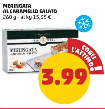 PENNY MERINGATA AL CARAMELLO SALATO 260 g offerta