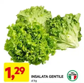 DPiù INSALATA GENTILE al kg offerta