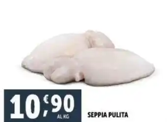 Deco Supermercati SEPPIA PULITA offerta