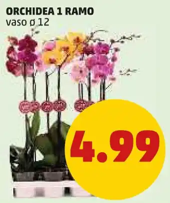 PENNY ORCHIDEA 1 RAMO vaso ø 12 offerta