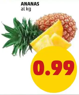 PENNY ANANAS offerta