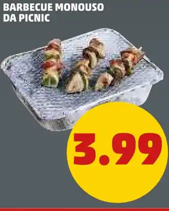 PENNY BARBECUE MONOUSO DA PICNIC offerta