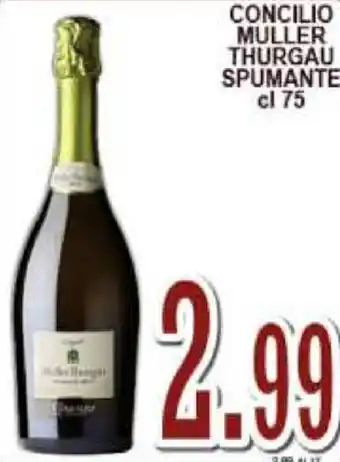 Sacoph Concilio Muller Thurgau Spumante cl 75 offerta
